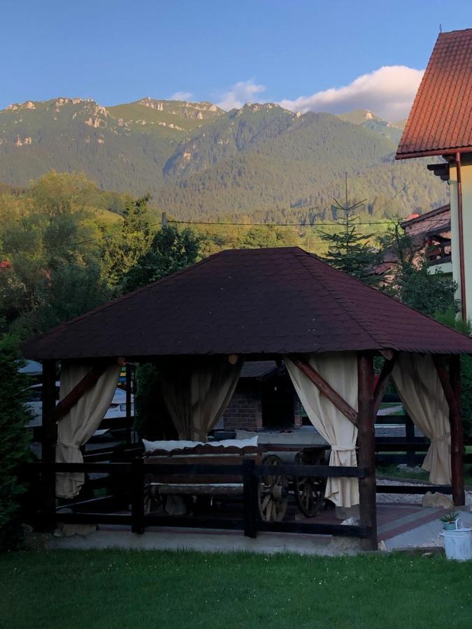 Pensiunea Esenzza Bran  Exterior foto