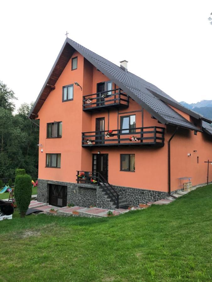 Pensiunea Esenzza Bran  Exterior foto