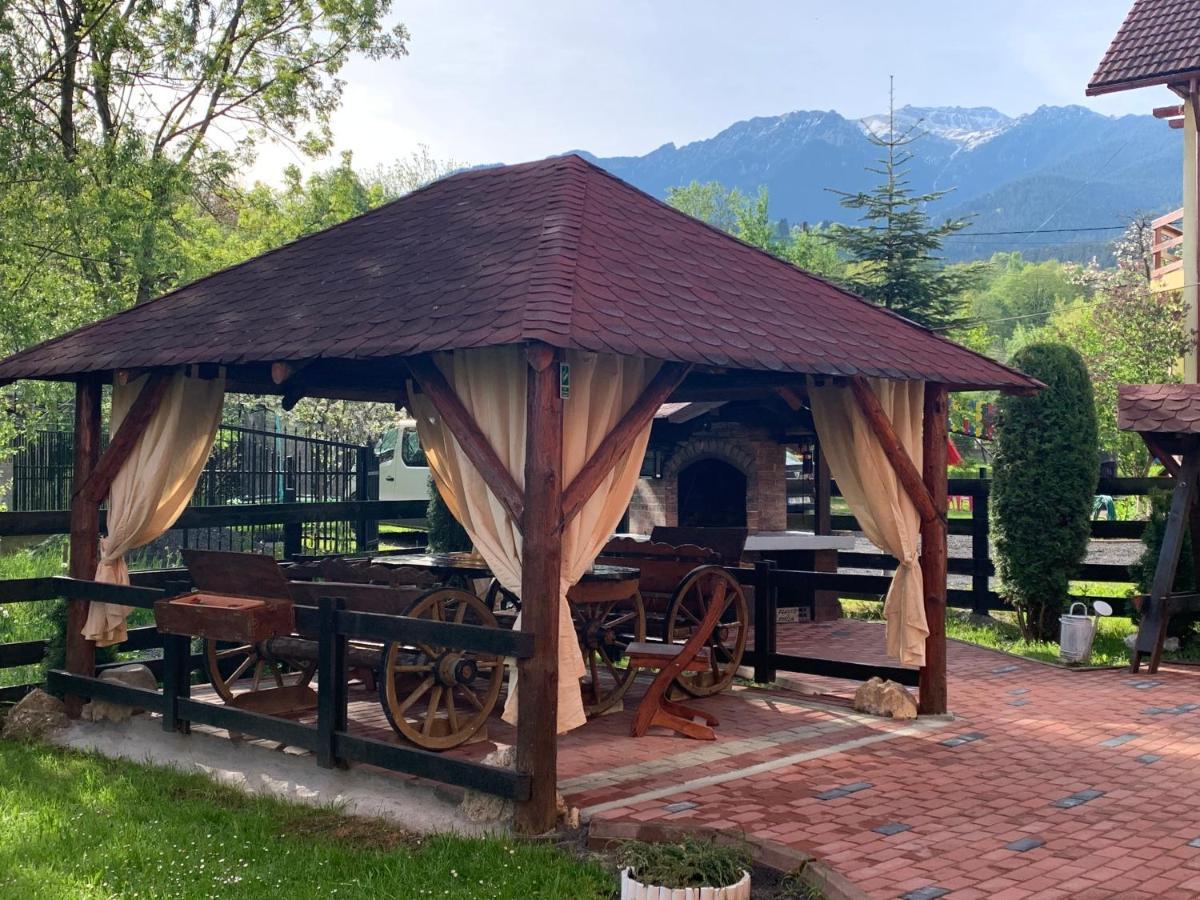 Pensiunea Esenzza Bran  Exterior foto